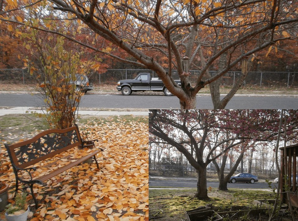 State Still Denies Sound Mitigation For Evergreen Woods