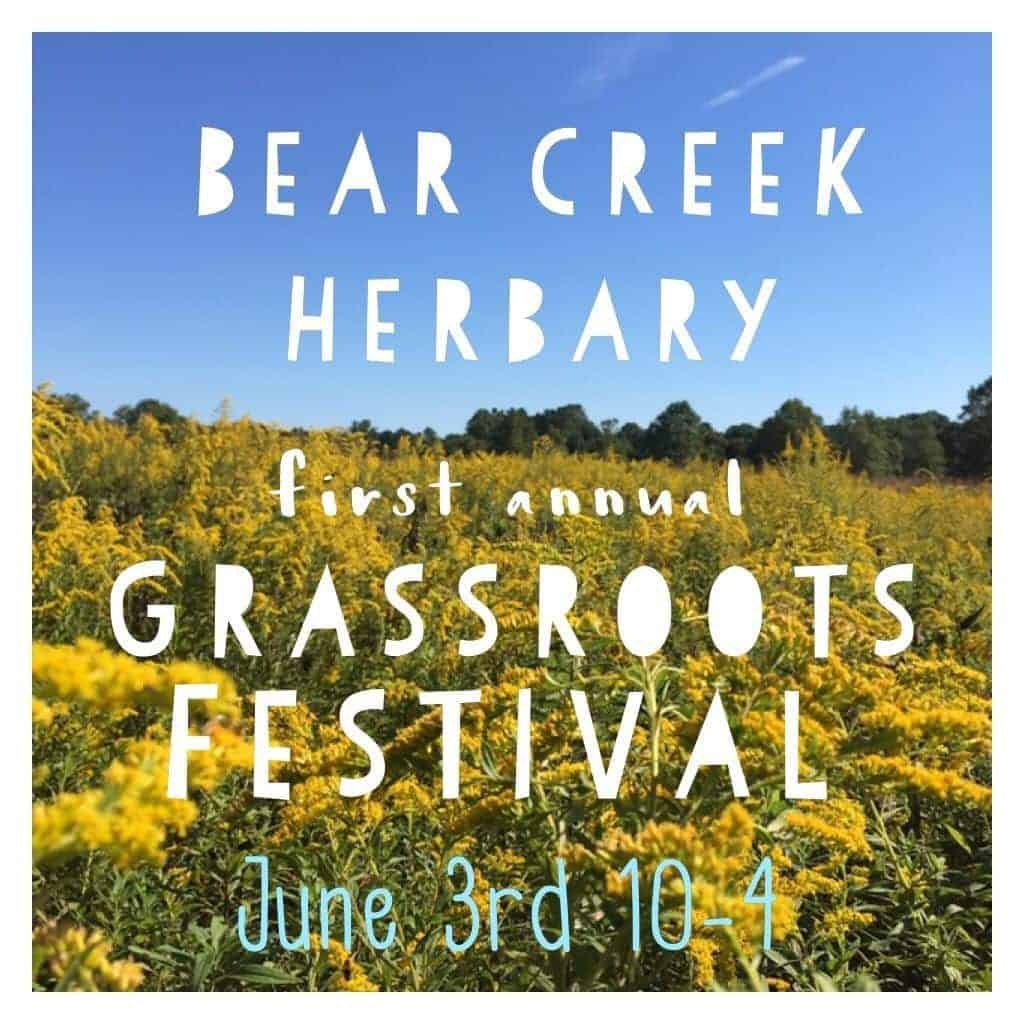 Grassroots Festival At Bear Creek Herbary | Jersey Shore Online