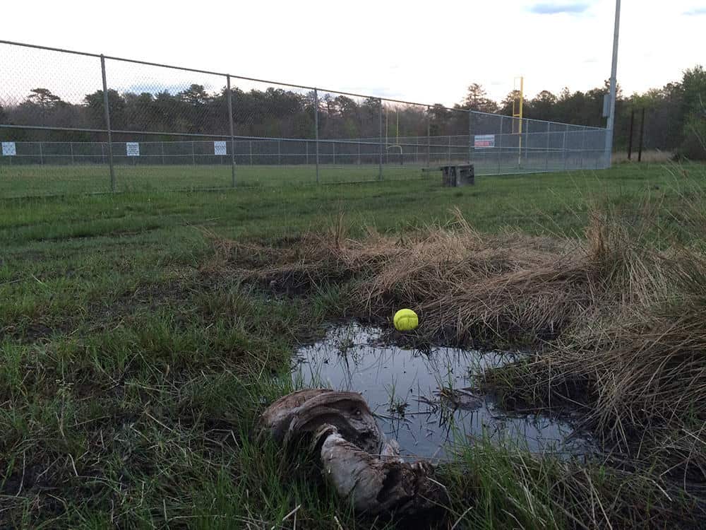 Parks A Source Of Pride In Barnegat Jersey Shore Online