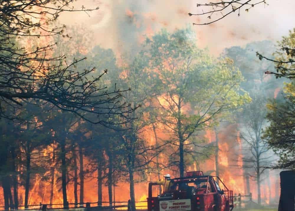 海ぶどう, forest fire セット 10th Anniversary Of Warren Grove Wildfire - Jersey Shore Online