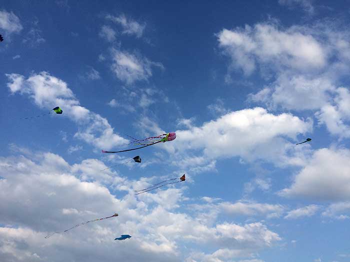 Kites Take Flight In Ortley Jersey Shore Online