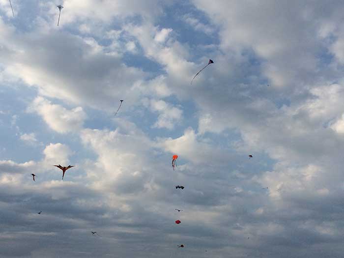 Kites Take Flight In Ortley Jersey Shore Online