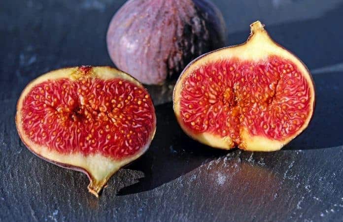 figs-1620590_960_720