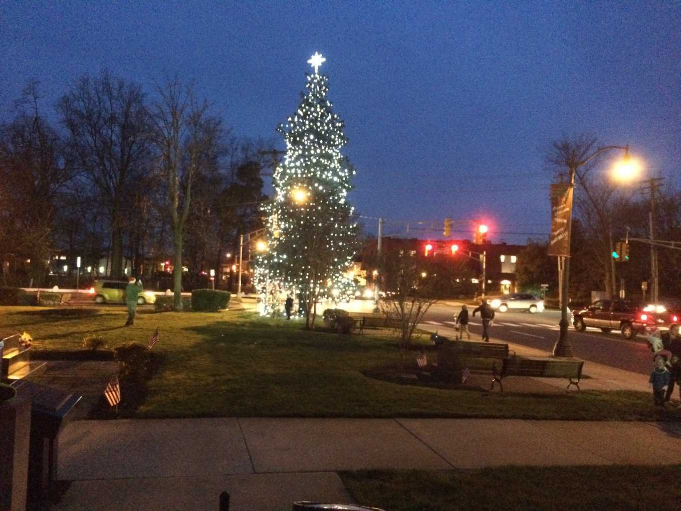Ocean County Christmas Tree Lit For All Residents | Jersey Shore Online