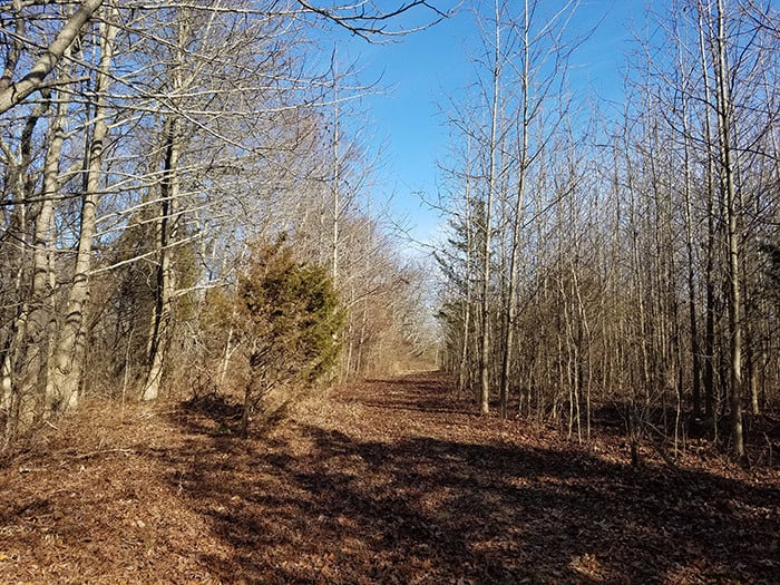 Ocean County To Preserve Jackson, Plumsted Land Jersey Shore Online