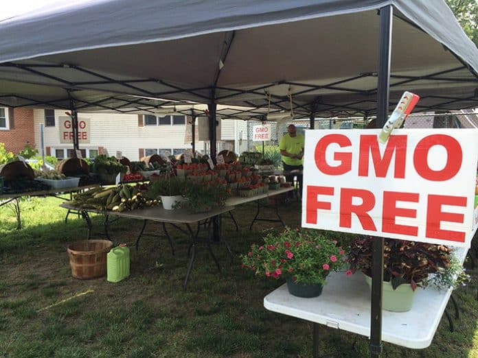 Where To Find Local Farmer’s Markets Jersey Shore Online