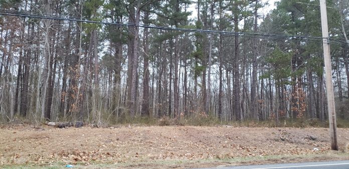 This wooded area at the corner of Hawkin Road and Route 537 may be home to Trophy Park, a $120 million sports complex. The township Planning Board will hear further testimony on the plan during its Feb. 4 meeting. (Photo by Bob Vosseller)