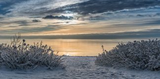 The county will be holding its Winter Beach Blast at Ocean County Mall. (Stock Photo)