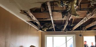 These photos show the state of disrepair in the hotel. (Photo courtesy Toms River Township)