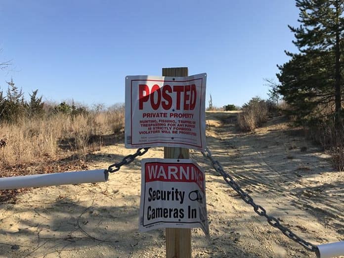 Currently the land where a housing development will go is overgrown. (Photo special to the Toms River Times)