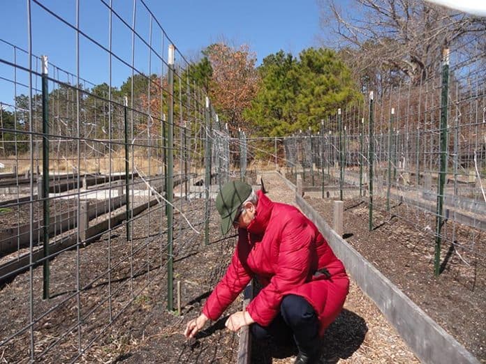 Volunteers have been getting the Wrangle Brook Community Garden ready for planting. (Photo by Patricia A. Miller)