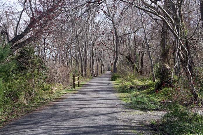 Ocean County’s Barnegat Branch Trail in Waretown. (Photo courtesy Ocean County)