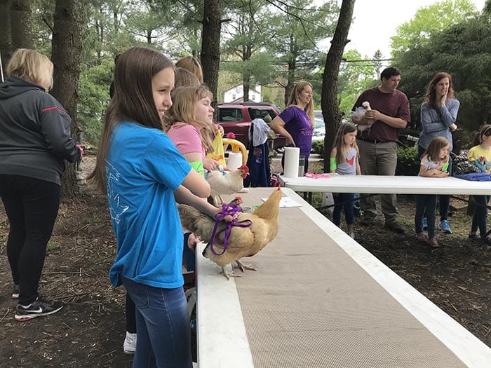 Chickens from the 4-H group Wise Quackers were on display. (Photo by Chris Lundy)