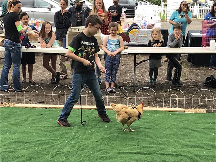 Bryce Decline of Brick shows how chickens can be like dogs. (Photo by Chris Lundy)