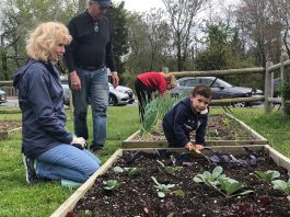 Gardening isn’t only for the adults; kids can come and volunteer with their family members as well. (Photo by Kimberly Bosco)