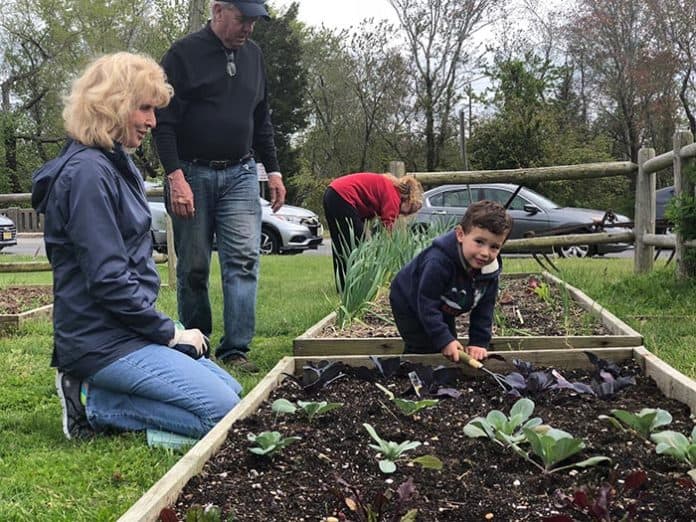 Gardening isn’t only for the adults; kids can come and volunteer with their family members as well. (Photo by Kimberly Bosco)