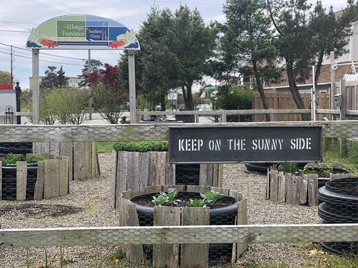 At the Stafford Community Garden you can find anything from corn to herbs to sunflowers to fruit trees. (Photo by Kimberly Bosco)