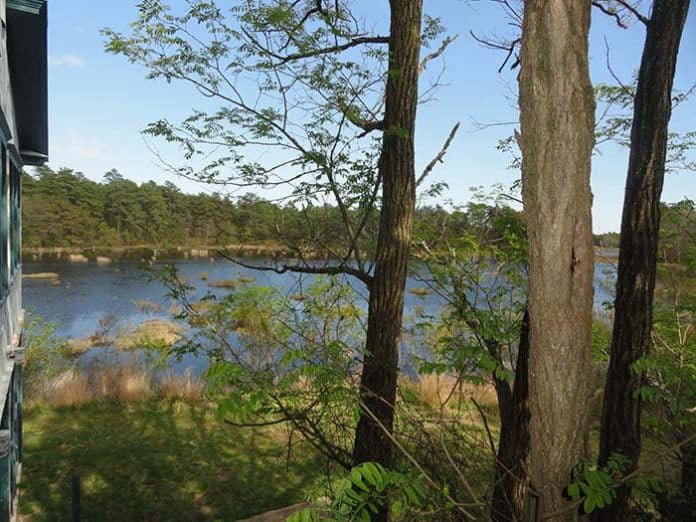 The cranberry bogs, unharvested, are more like a lake now. (Photo by Patricia A. Miller)