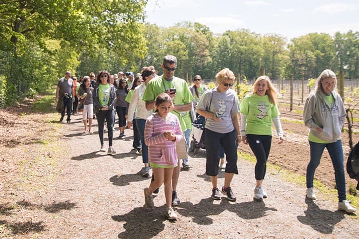 A walk for brain tumor research was held in New Egypt on May 11 and raised more than $19,000. Around 170 walkers took part in the fundraising effort which began at the Laurita Winery on Archertown Road. (Photos courtesy Victor Bubadias Photography)