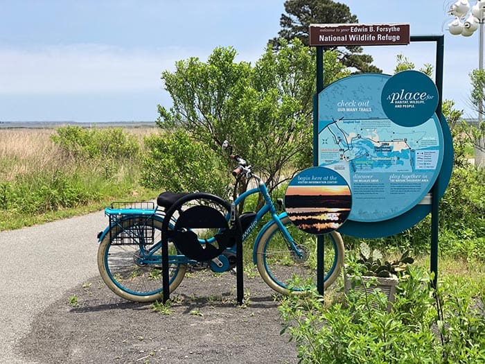 The Forsythe Refuge stretches across 14 municipalities, from Galloway Township in Atlantic County to Brick Township in Ocean County, protecting more than 47,000 acres of tidal wetland and shallow bay habitat for migratory water birds. (Photo by Kimberly Bosco)