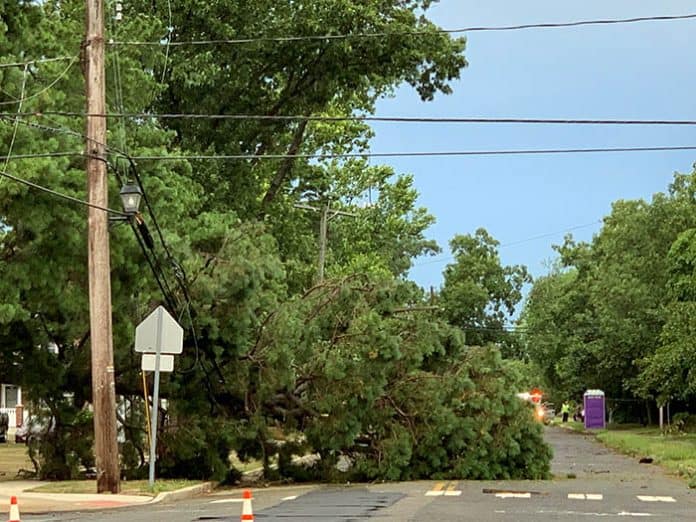 A downed tree from last night's storms in Lakehurst. (Photo by Laura Hoban)