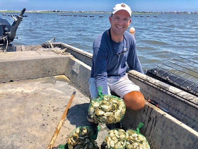 These fully grown oysters, being held by oyster farmer Tommy Burke, are ready to sell.(Photo by Judy Smestad-Nunn)