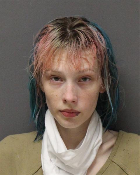 480px x 600px - Ocean County Woman Busted On Child Porn Charges | Jersey Shore Online