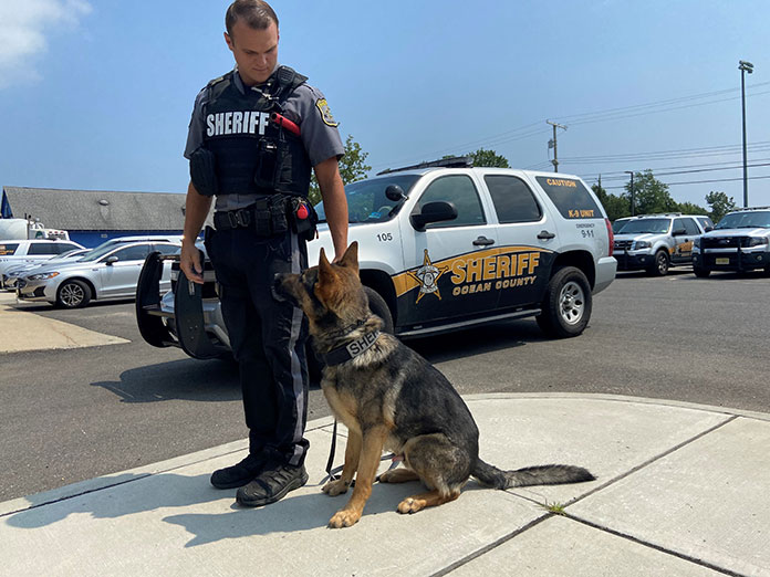 Will Marijuana Legalization Prompt K9 Retirements? Jersey Shore Online