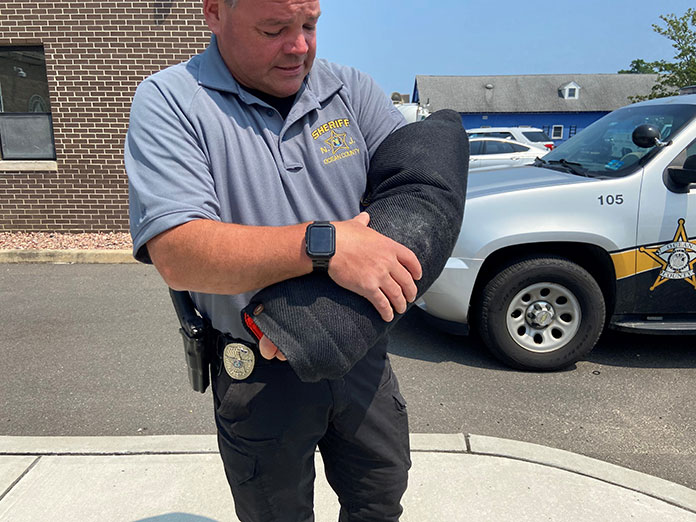 Will Marijuana Legalization Prompt K9 Retirements? Jersey Shore Online