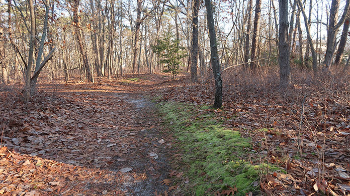 32 Acres Preserved As Open Space In Ocean County