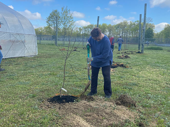 Outdoor Classroom Transforms With Food Forest