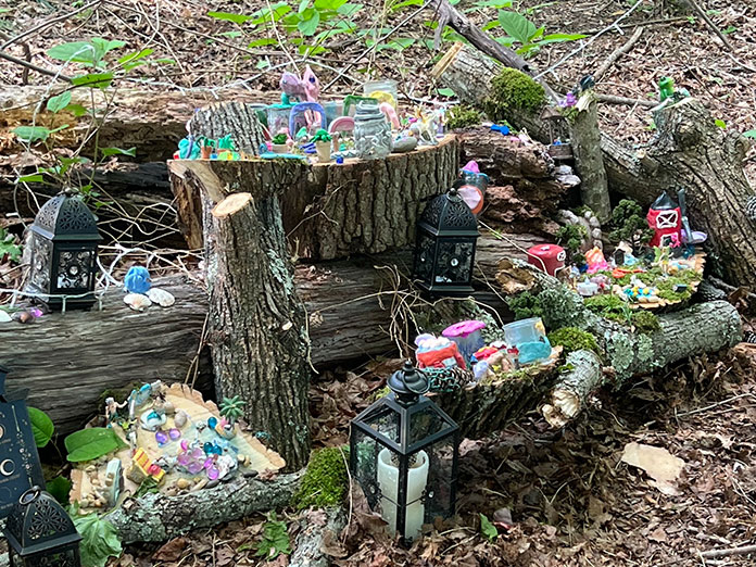 Visitors Enchanted By Fairy Faire