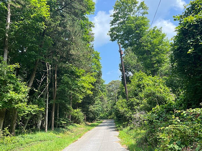 Town Tradition: No Escaping The Jersey Devil Legend In Galloway