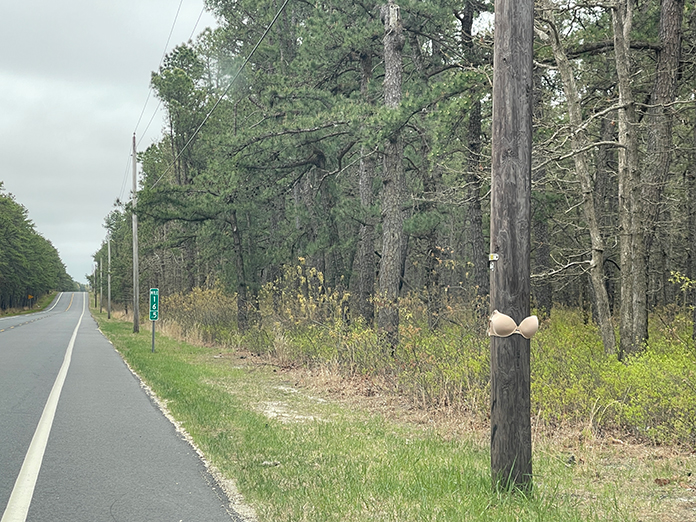 Photo-of-the-Week---Bra-On-Pole---Jason-Allentoff-1