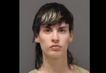 Woman Indicted On Arson, Eluding Charges In LBI Fire Case