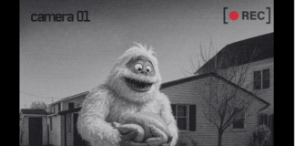 Bumble Sightings Spur Overnight Search In Southern Ocean County