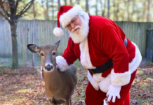 Santa Visits Popcorn Park, Animals Share Holiday Wish Lists