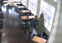 Bagel Shop Seeks Public’s Help After Ornaments, Baked Goods Stolen