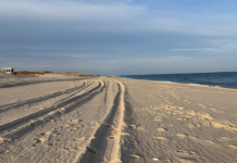 Ocean County’s Island Beach State Park Reaches Milestone