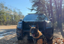 Community Support Helps Outfit K-9s With Protective Vests