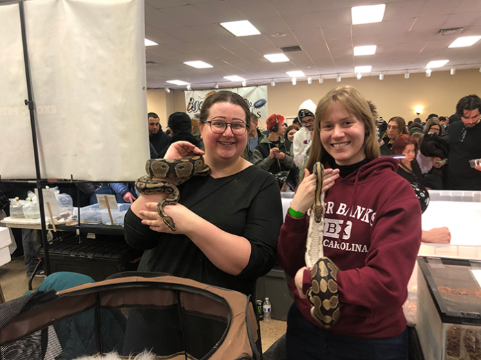 p-Small-and-Furry-rescue-picture