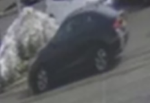 Police Seek Public’s Help In Barnegat Hit-And-Run