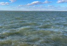 Family Boating Trip Turns Tragic In Fatal Crash