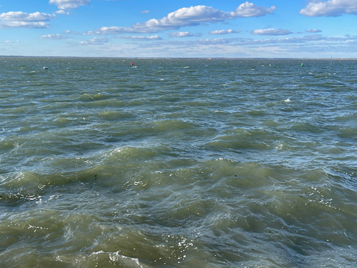 bay