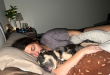 Ocean County Dog Killing Case Draws Continued Courtroom Support