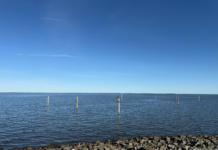 Officers Pull Drowning Victim From Barnegat Bay