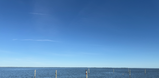Officers Rescue Drowning Victim From Barnegat Bay