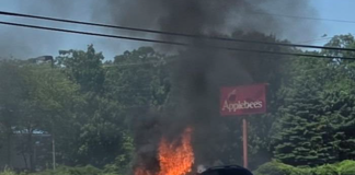 SUV Bursts Into Flames After Route 72 Crash