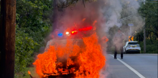 Driver Escapes Moments Before Car Erupts In Flames