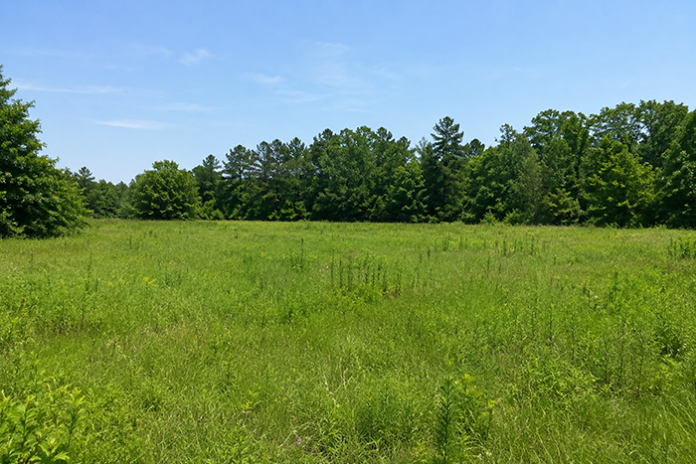 openspace1